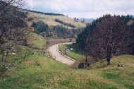 041.jpg