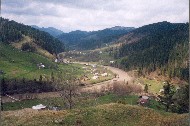 042.jpg