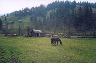 044.jpg