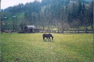 045.jpg