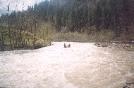 052_08.jpg