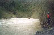 055_01.jpg