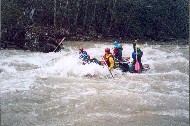 060.jpg